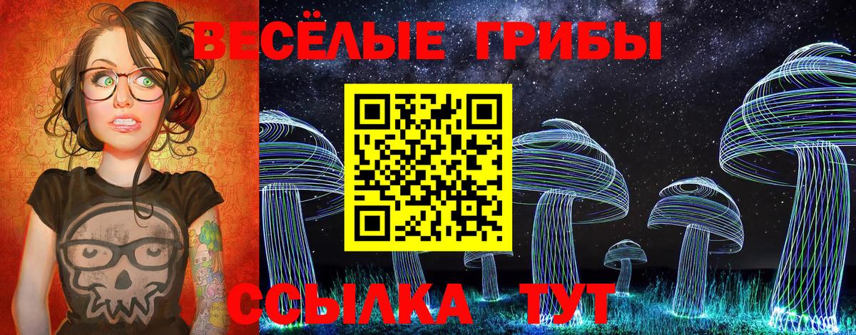 Алейск  цены   Галлюциногенные грибы GOLDEN TEACHER  Вход с VPN  Галлюциногенные грибы Psilocybe 